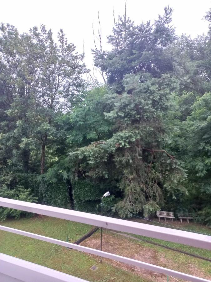 Lake Maggiore 2 Minutes Apartment Dormelletto Exterior foto