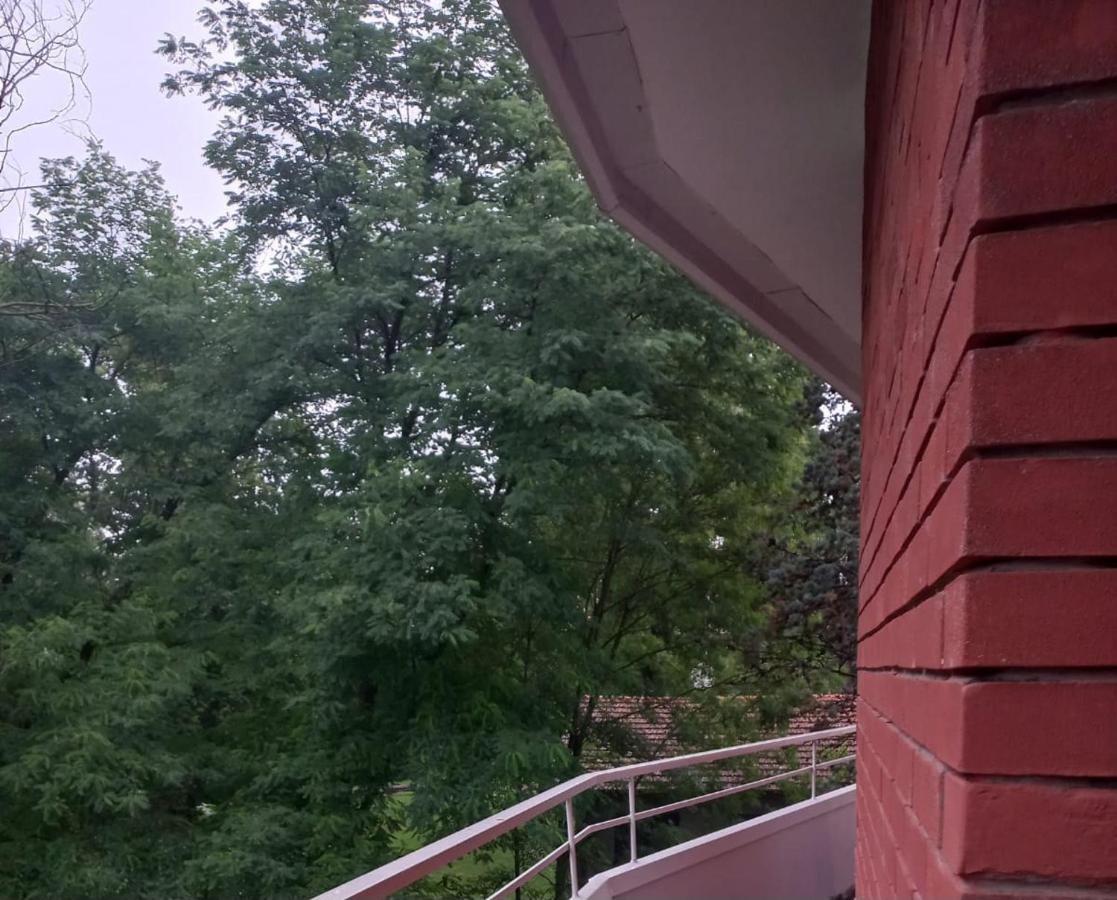 Lake Maggiore 2 Minutes Apartment Dormelletto Exterior foto